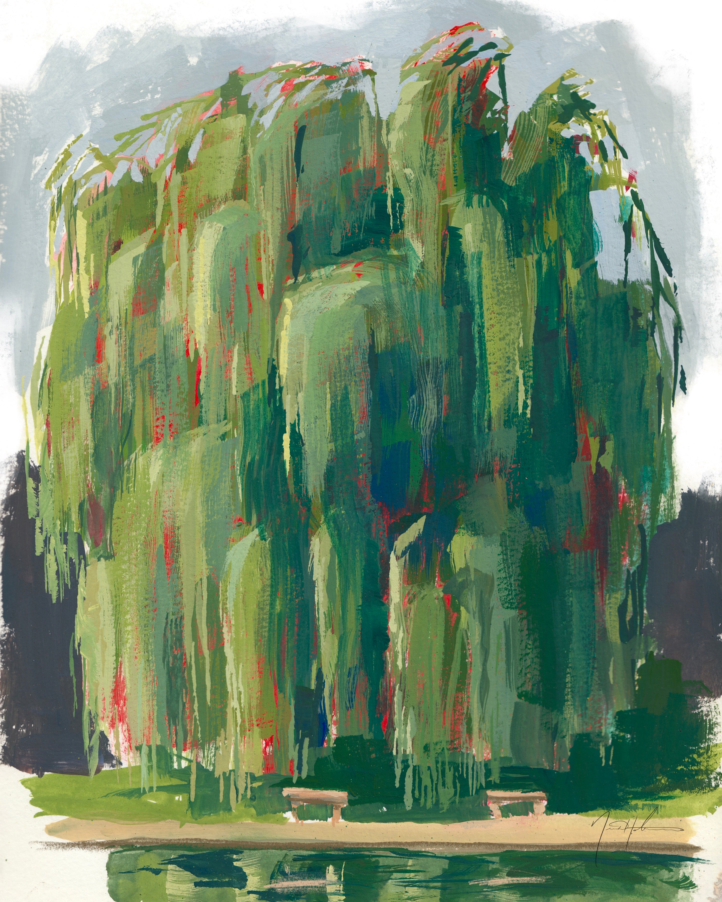 Weeping Willow, Tower Grove Park