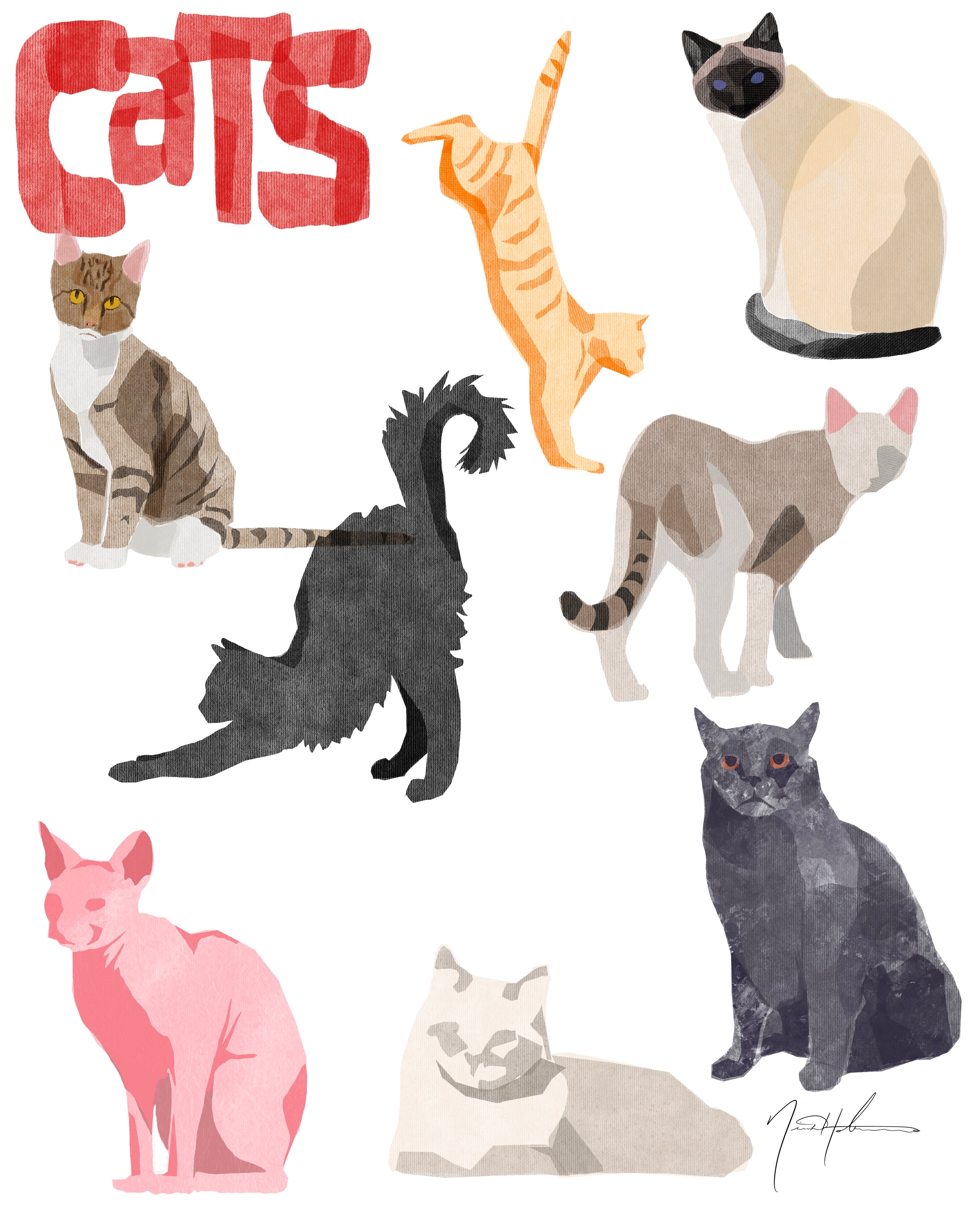 C A T S