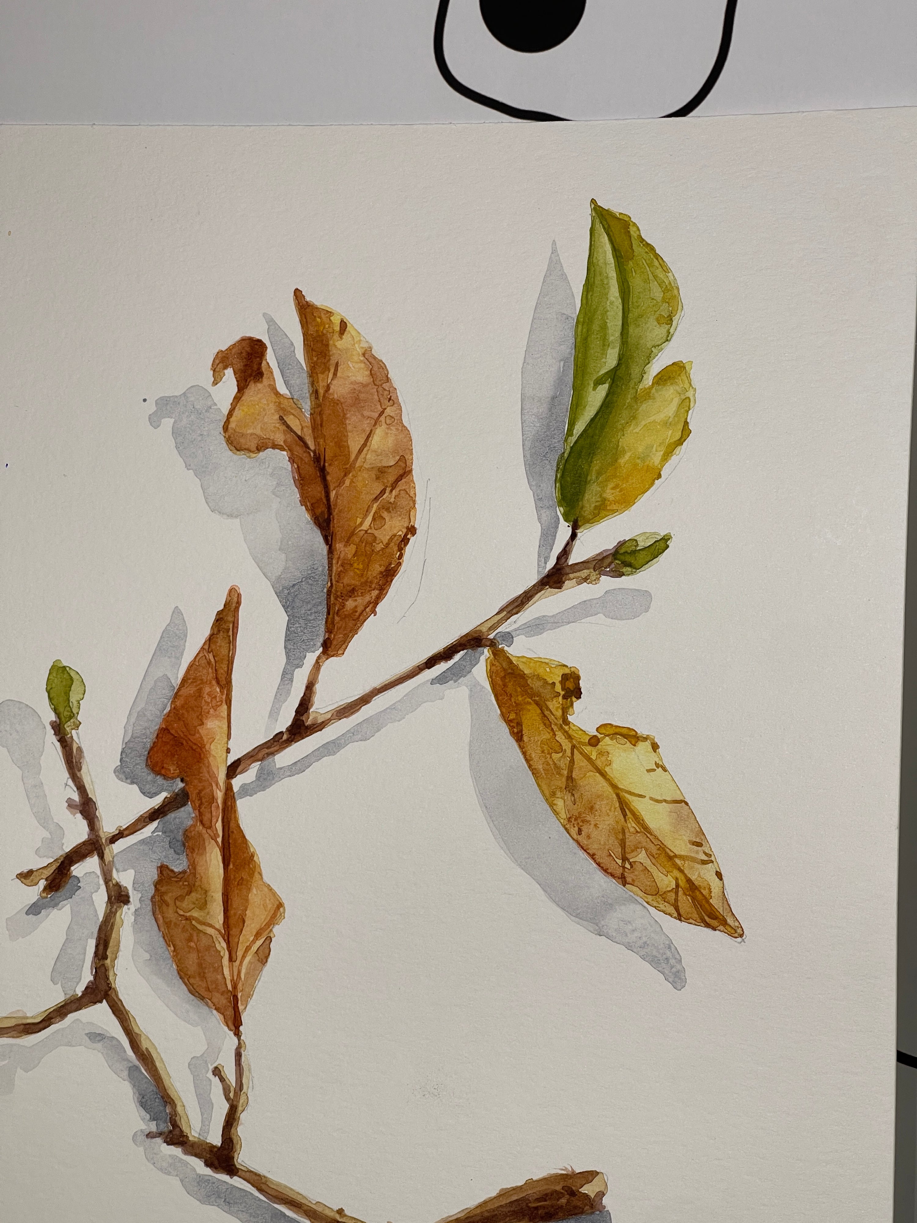 Chicago | Watercolor Fall Leaves | 10/29/25 6:00-9:00pm
