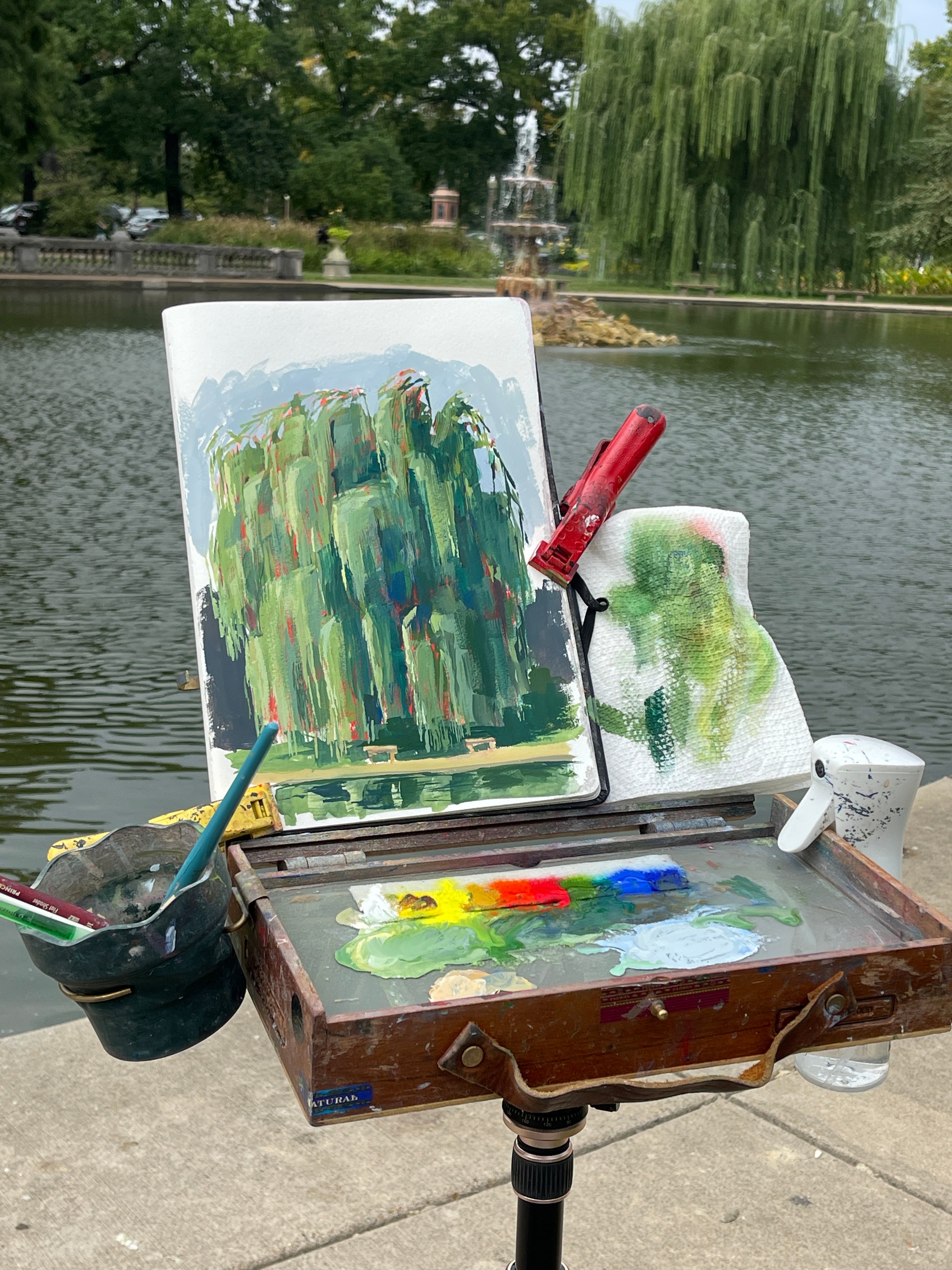 Weeping Willow, Tower Grove Park