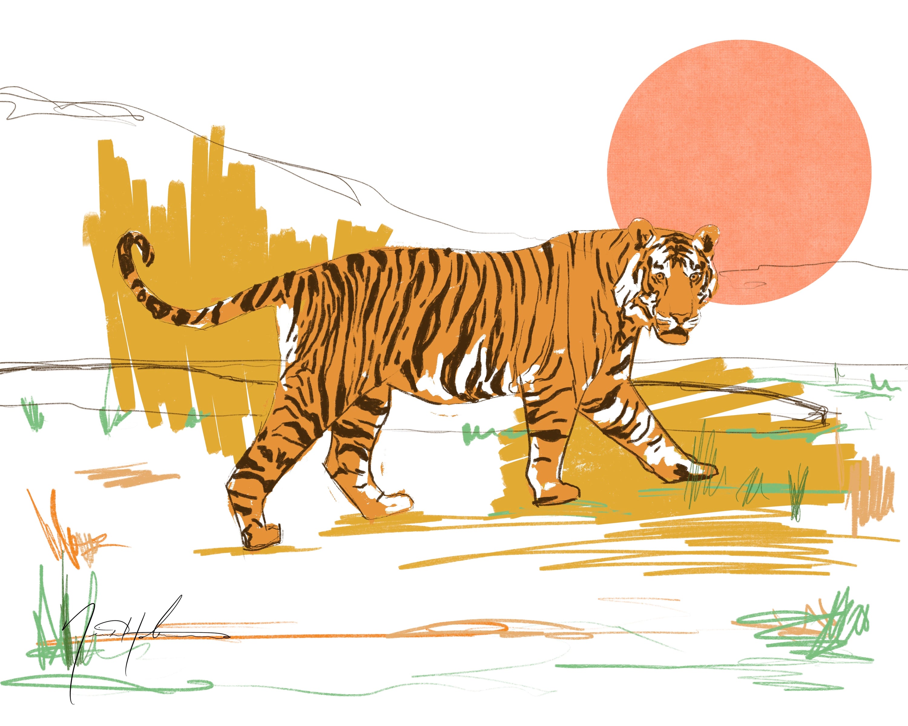 Bengal Sketch