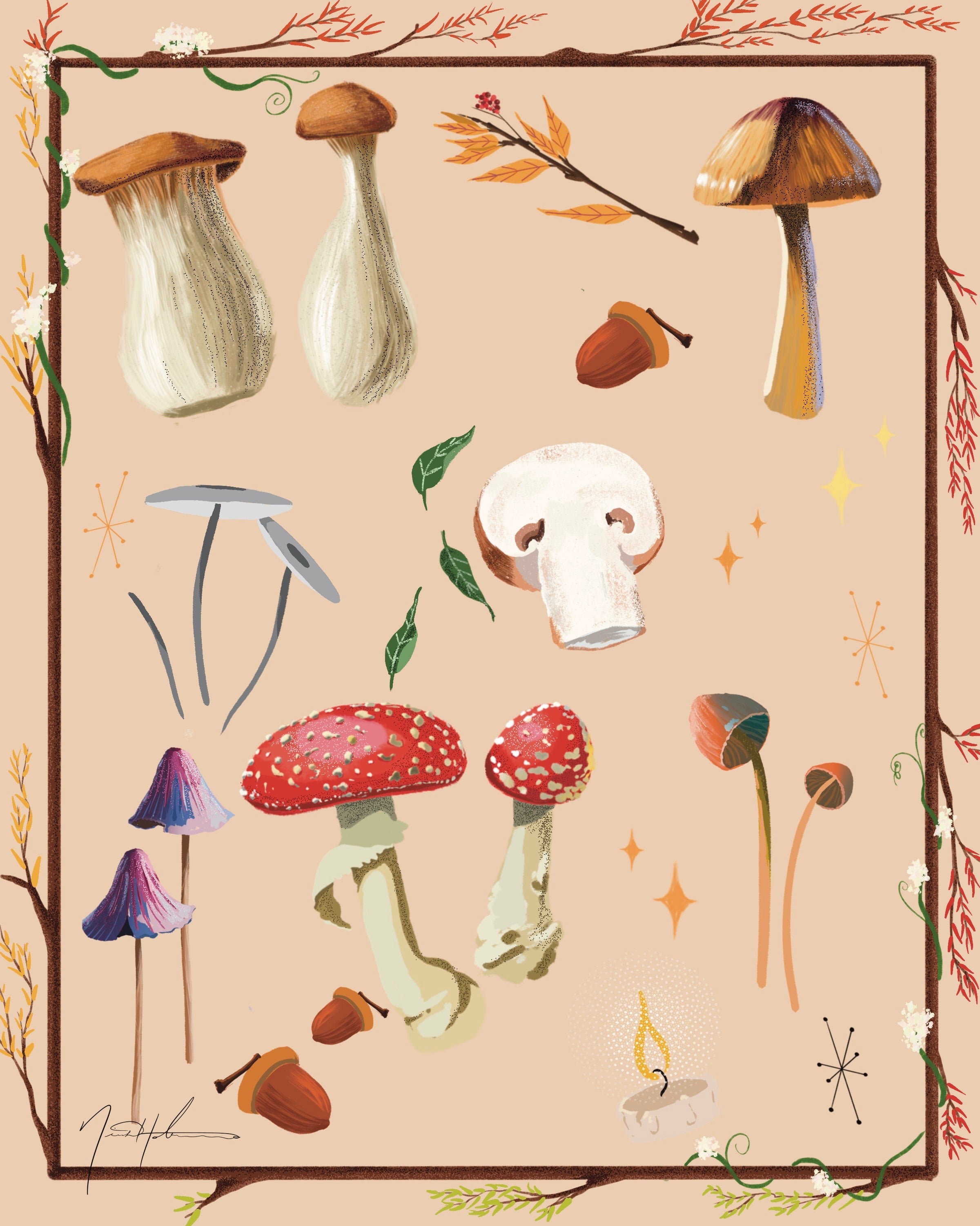 Shrooms