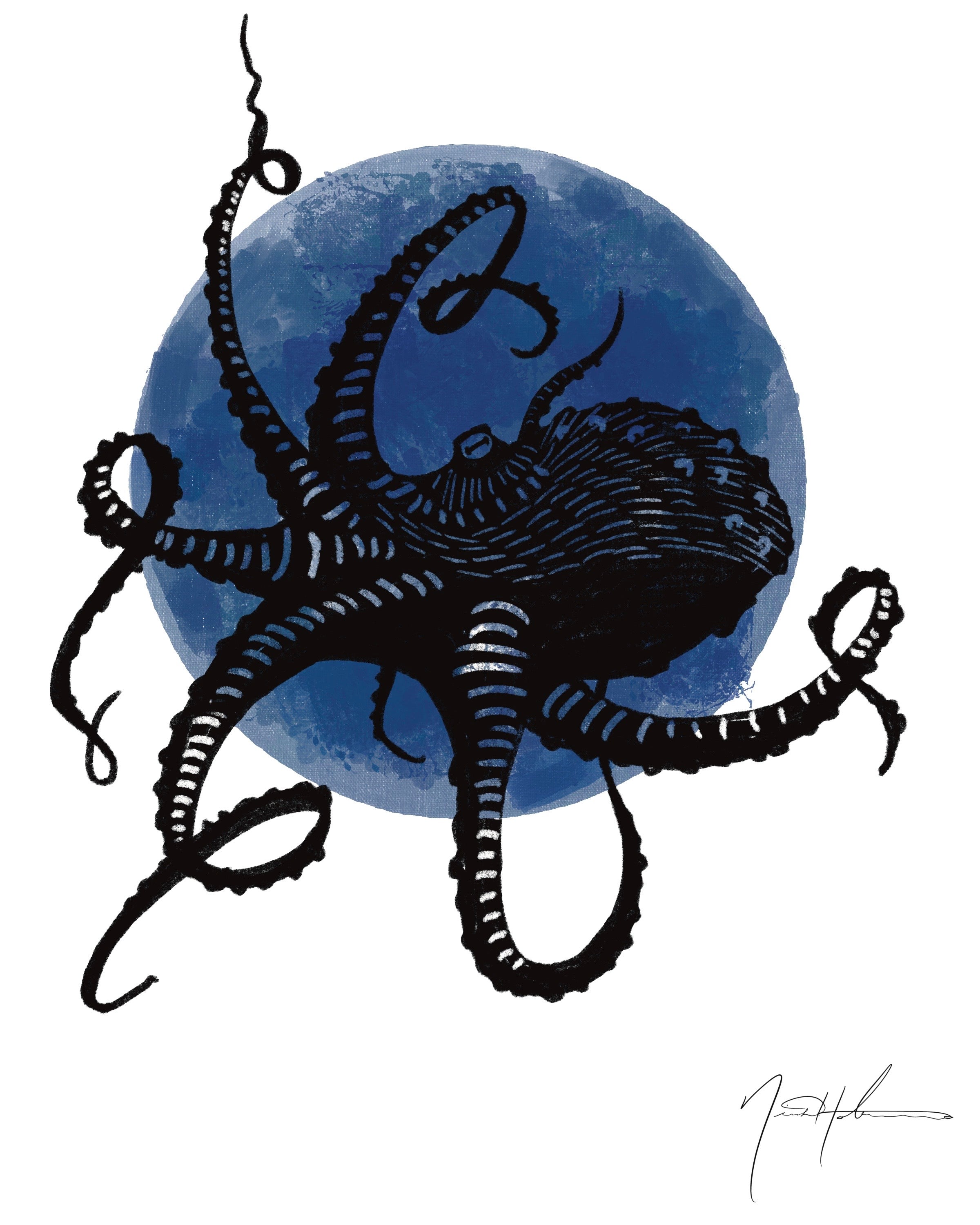 Octopus Lino