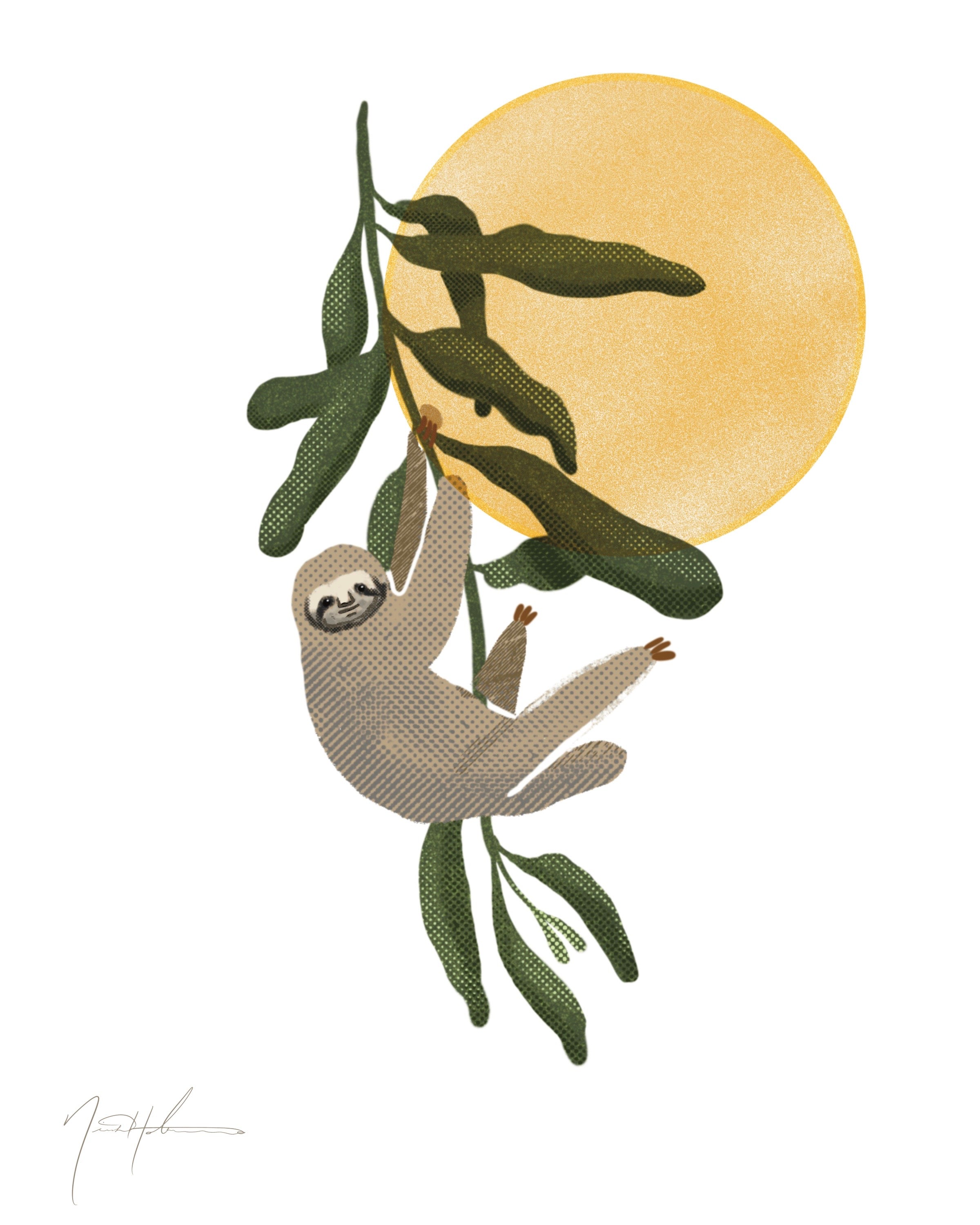 Sloth