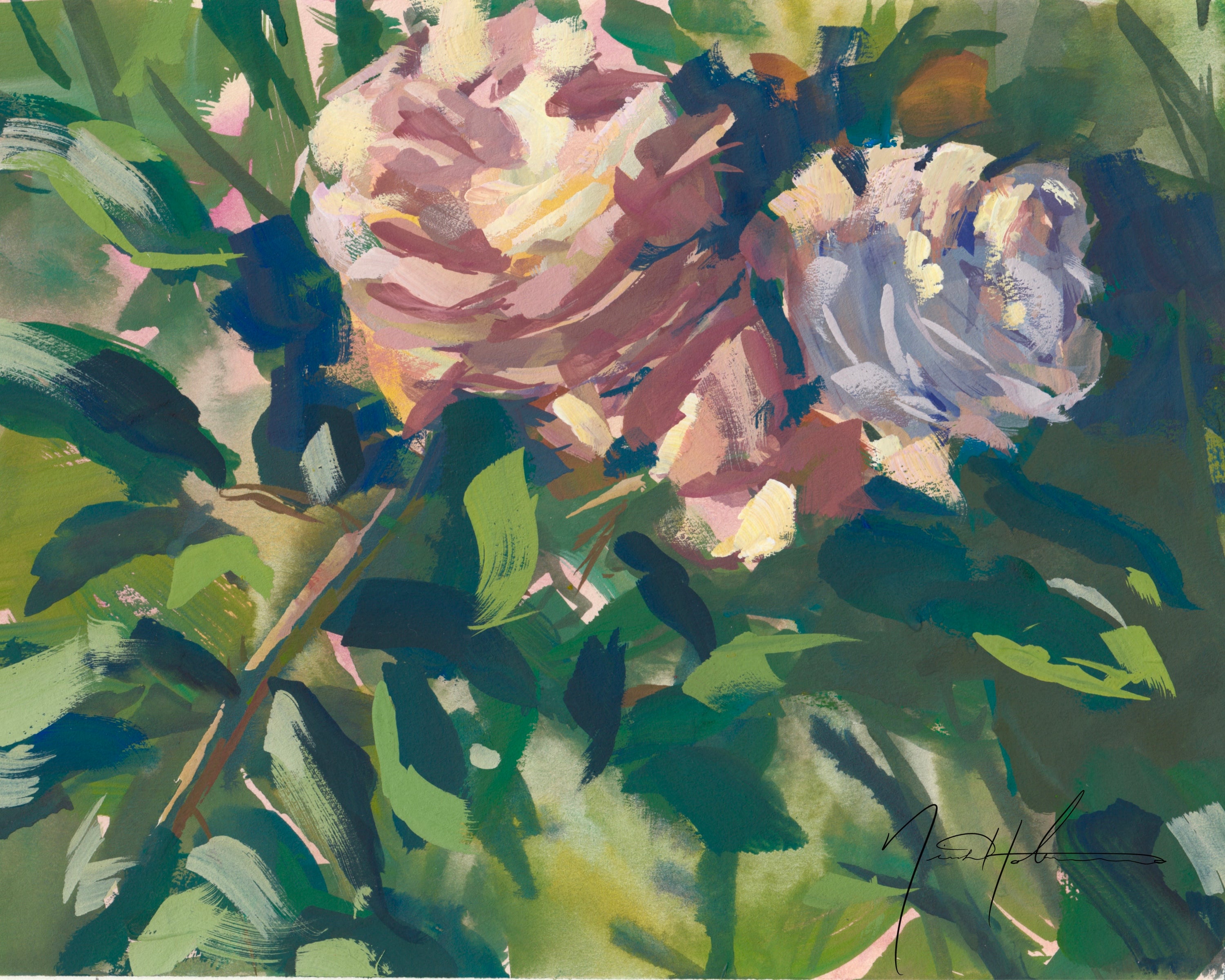 Missouri Botanical Garden Roses