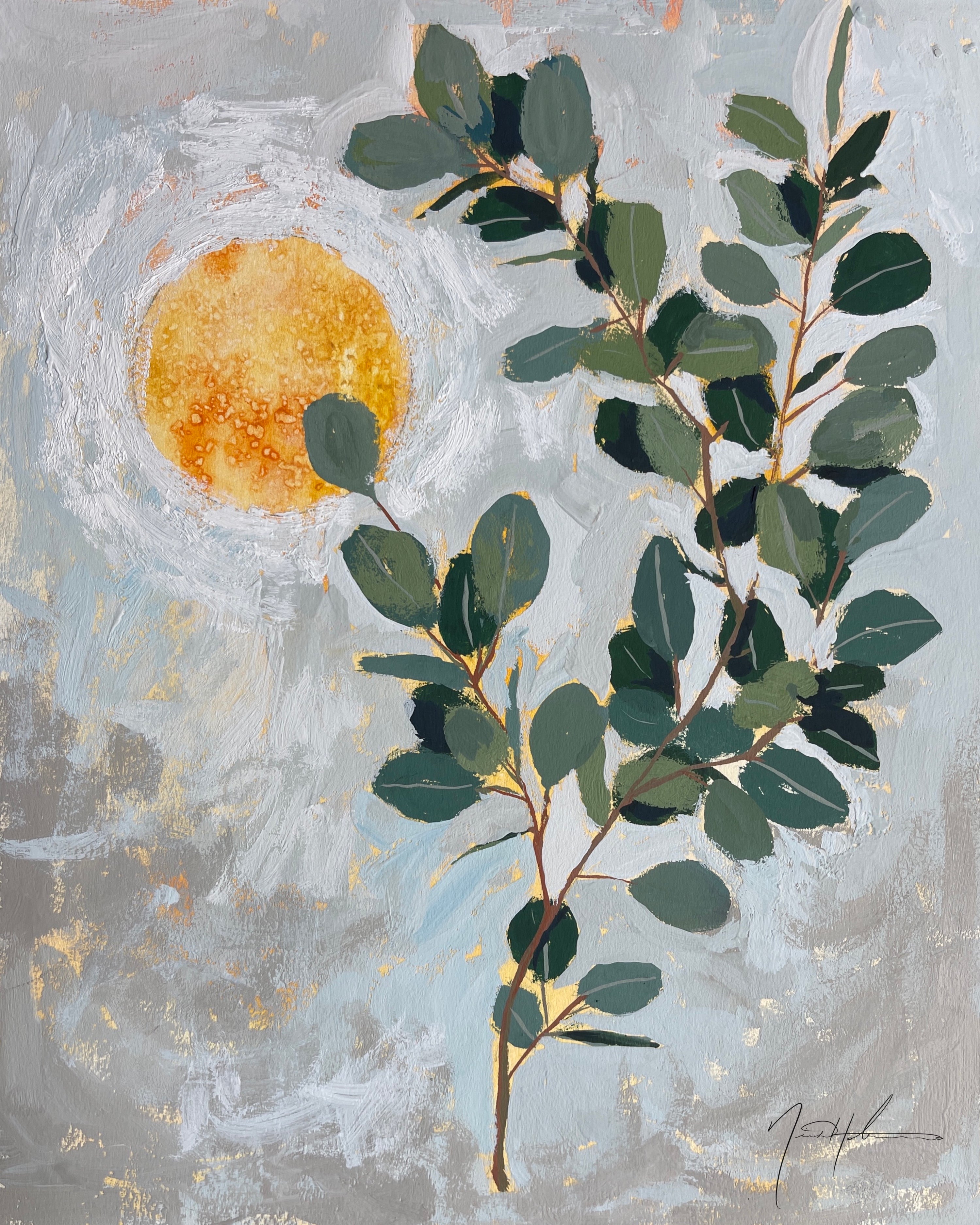 Eucalyptus Sun