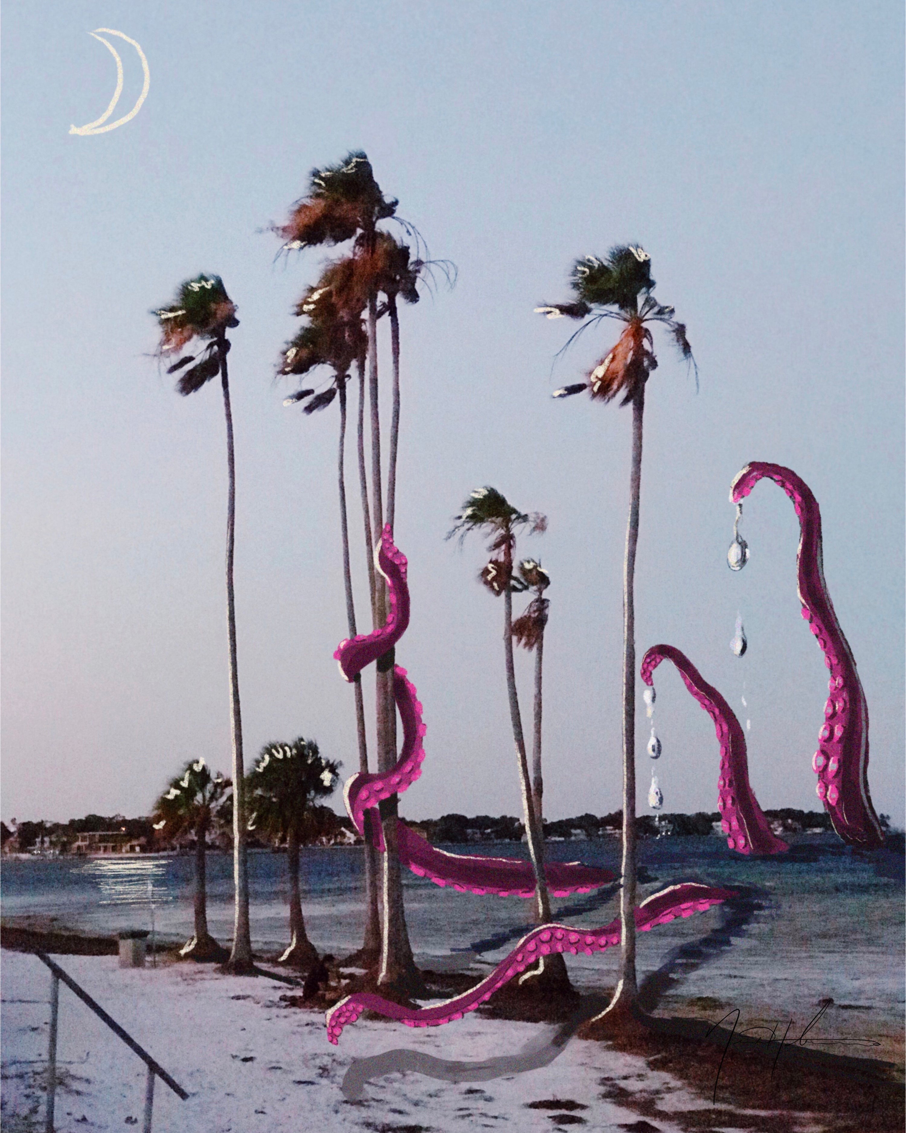 Octo Palms