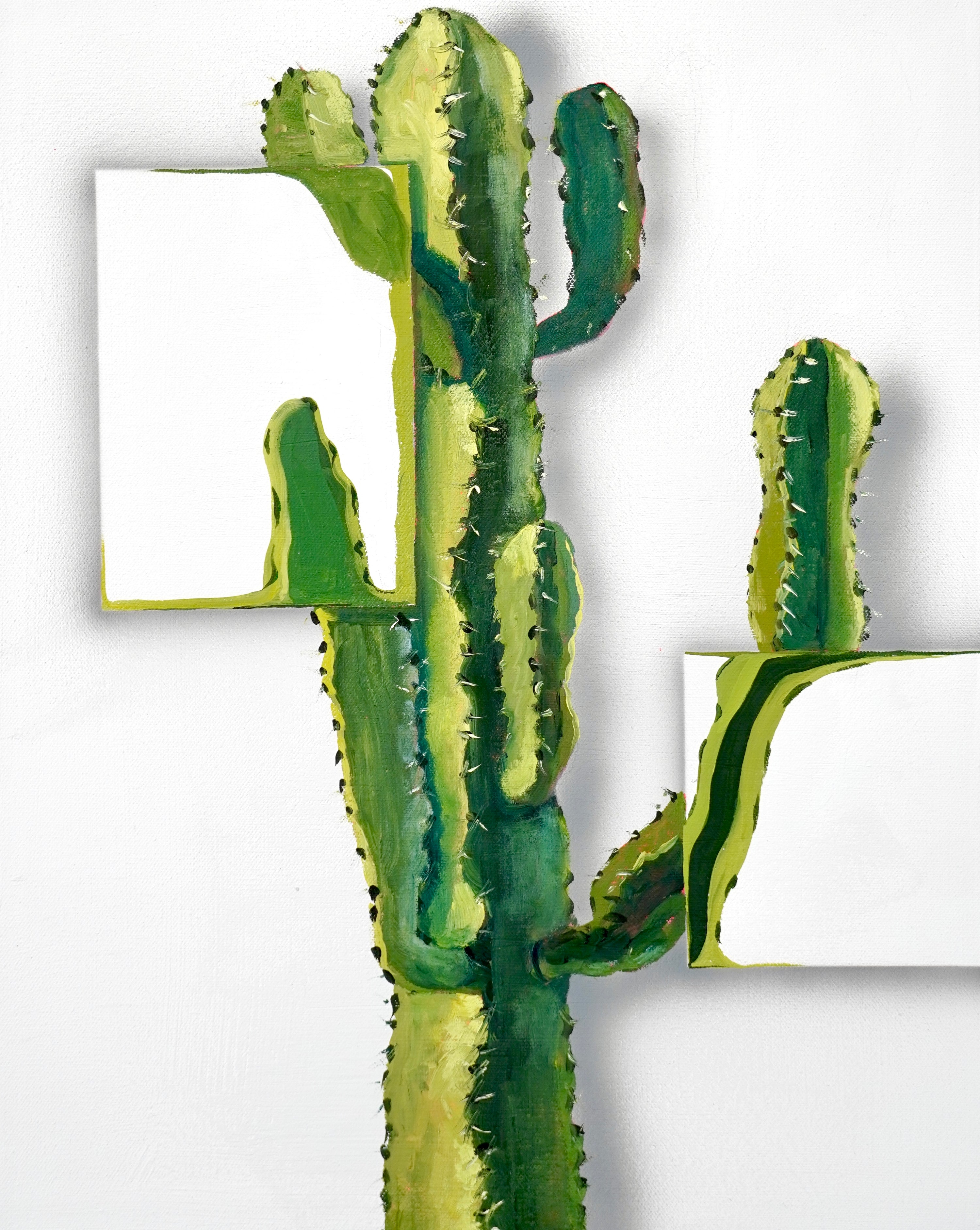 Cactus Warp