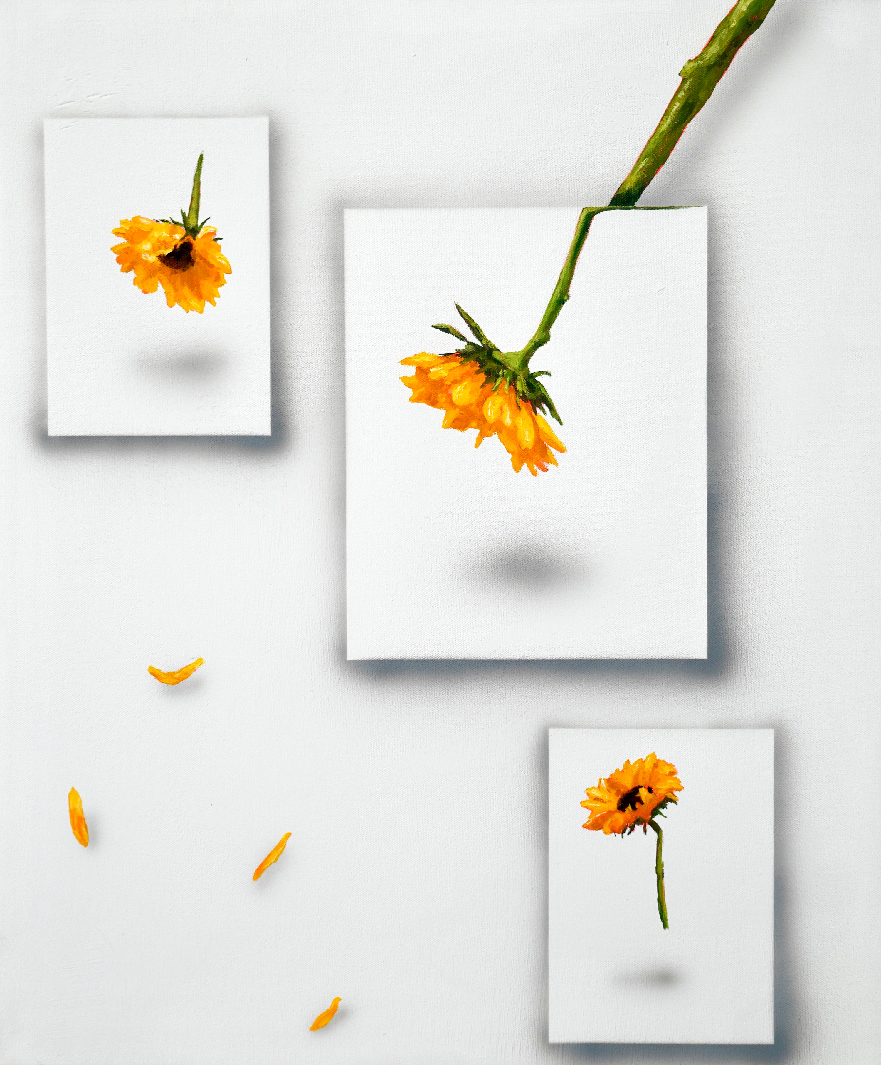 Suspended Sunflowers