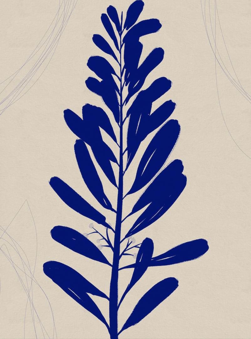 Blue Botany