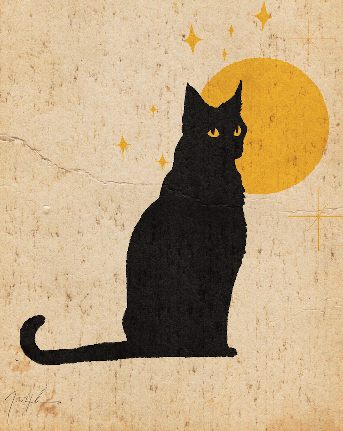 Black Kitty