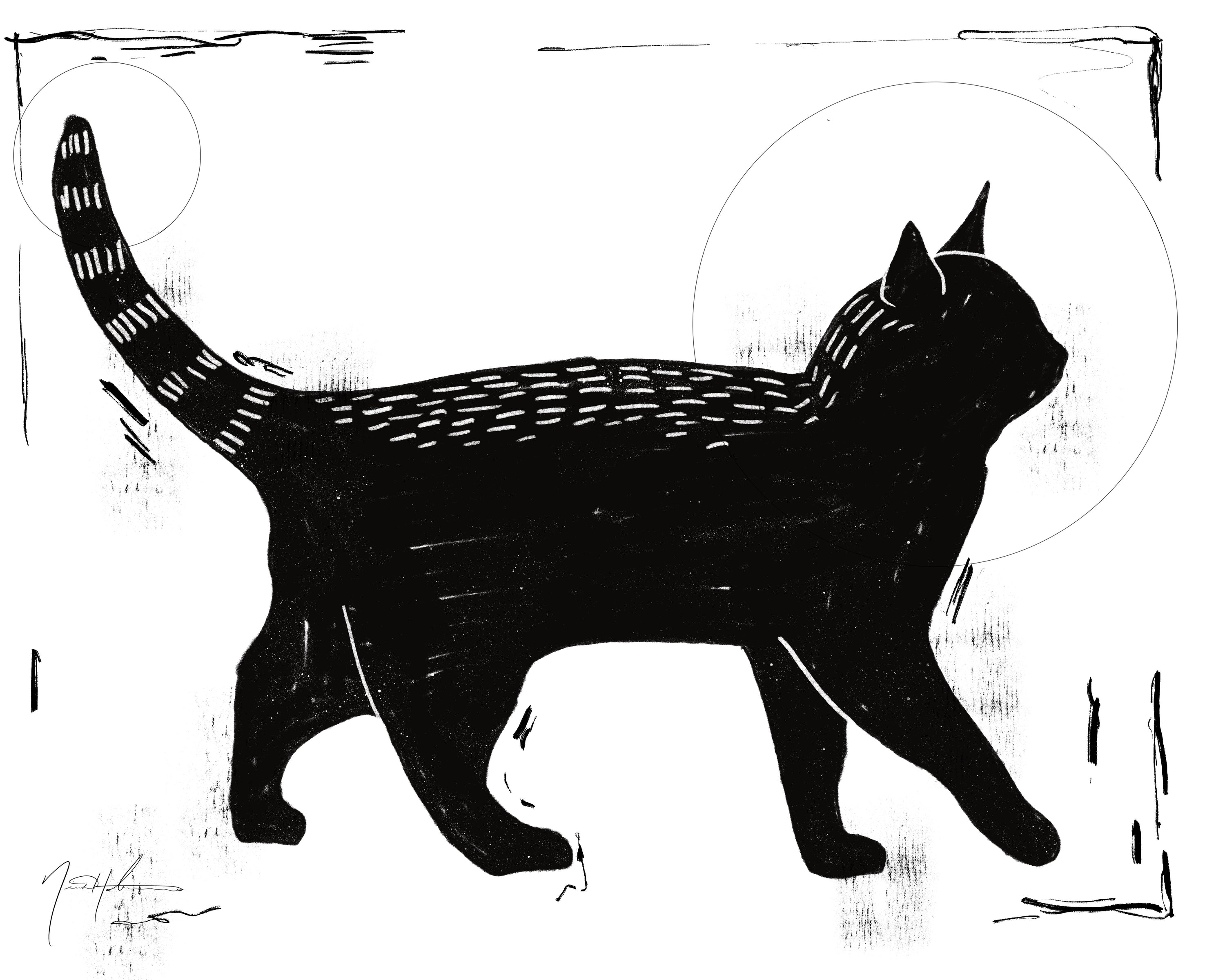 Black Cat Sun