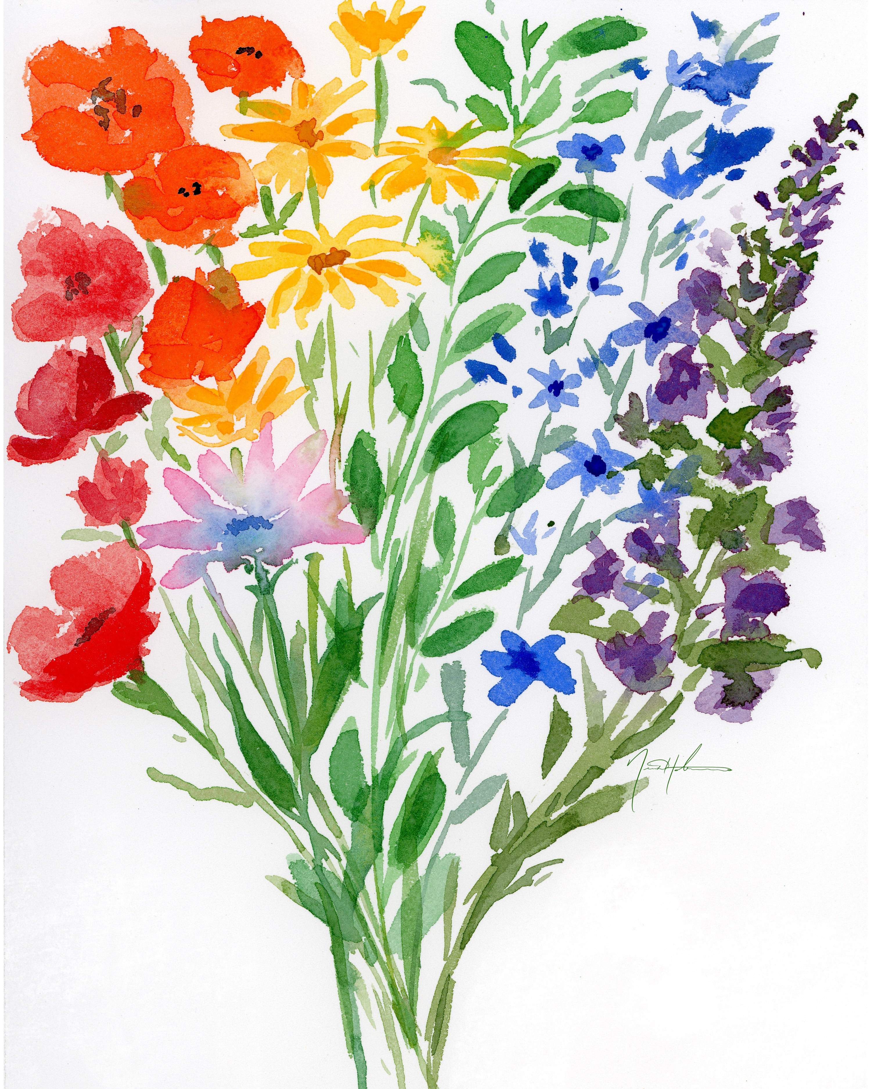 The Full Spectrum of Flowers