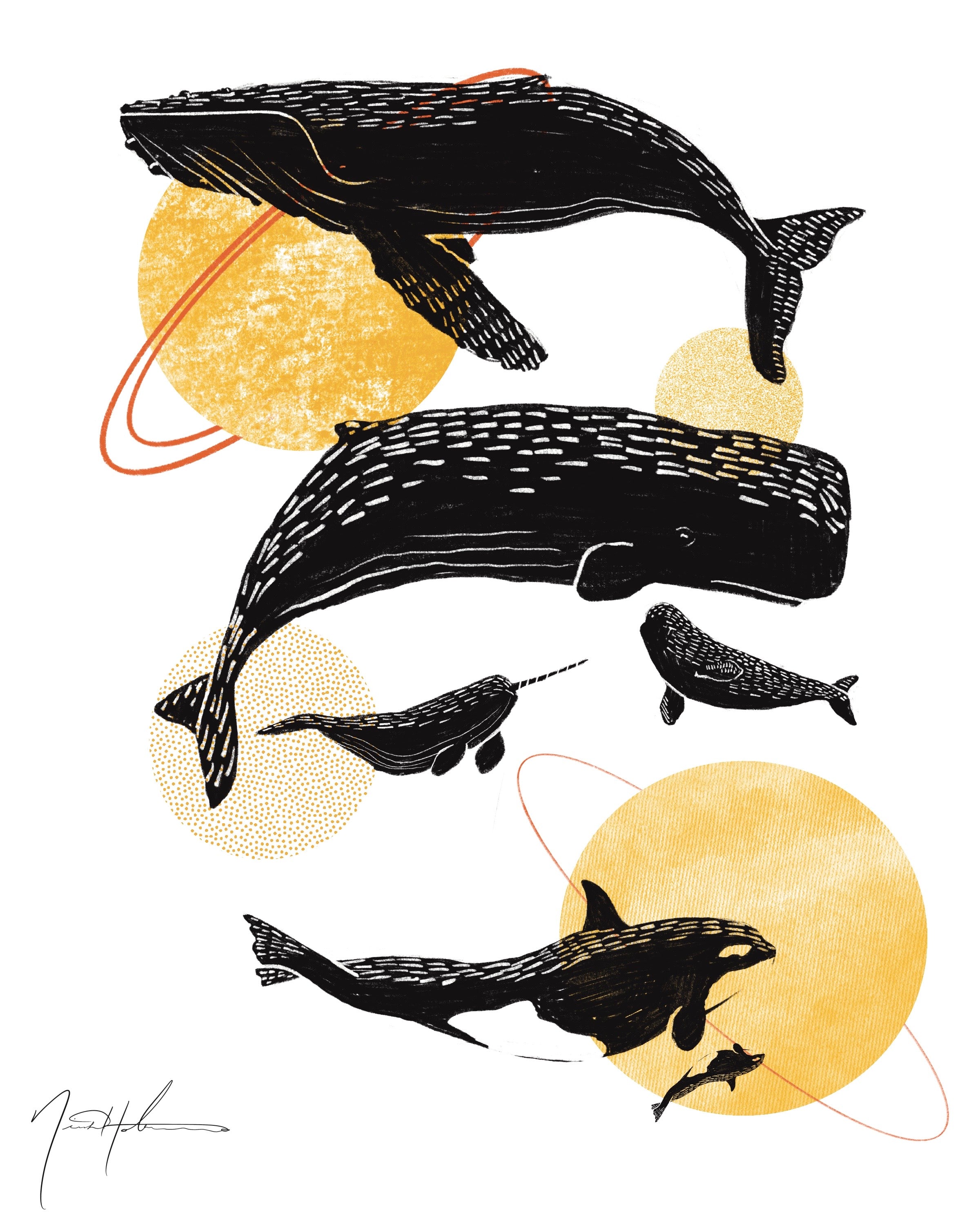 Whales & Planets